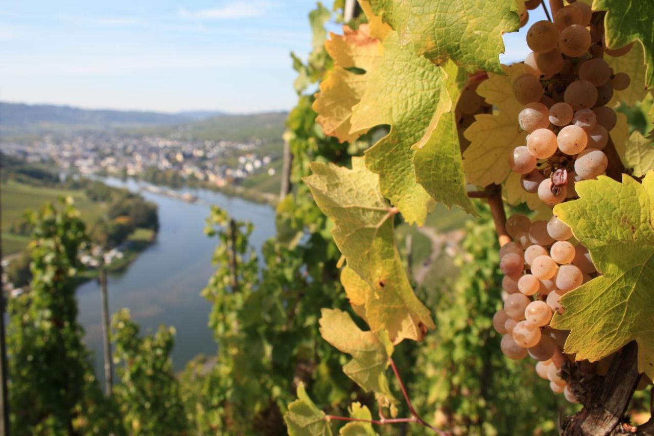 Weingut Markus Junglen Kröv Exteriör bild